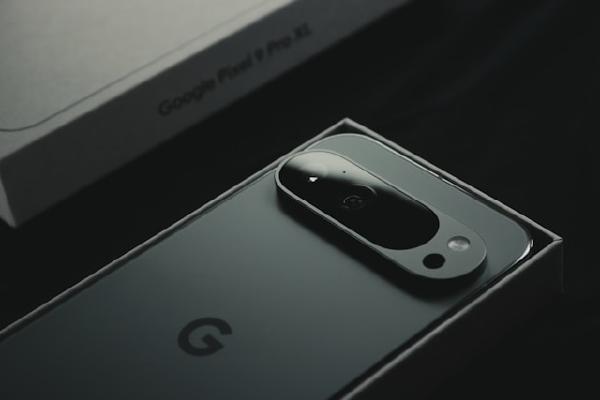 Contact Information